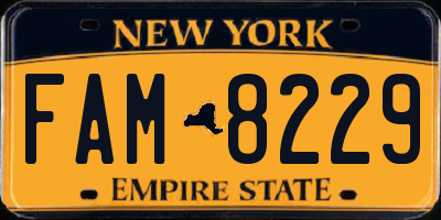 NY license plate FAM8229