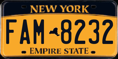 NY license plate FAM8232