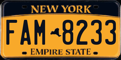 NY license plate FAM8233