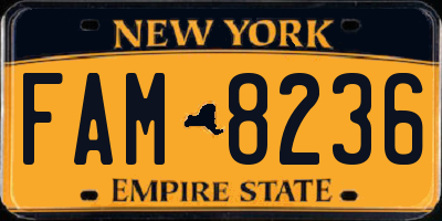 NY license plate FAM8236