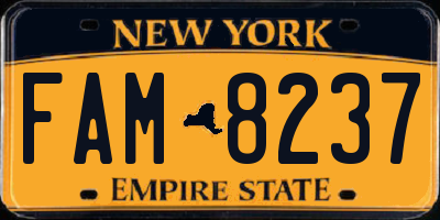 NY license plate FAM8237