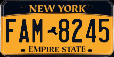 NY license plate FAM8245