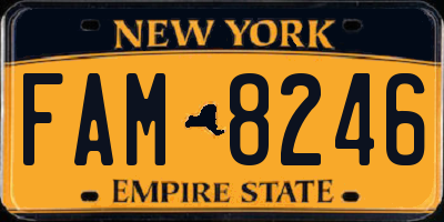 NY license plate FAM8246