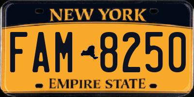 NY license plate FAM8250