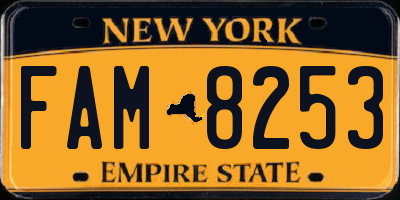 NY license plate FAM8253