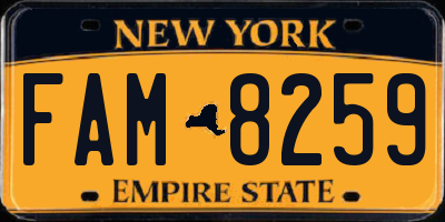 NY license plate FAM8259