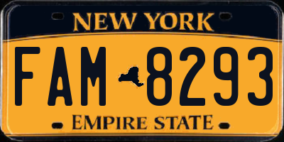 NY license plate FAM8293