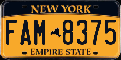 NY license plate FAM8375