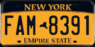 NY license plate FAM8391