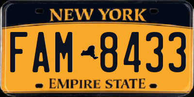 NY license plate FAM8433