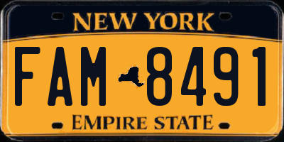 NY license plate FAM8491