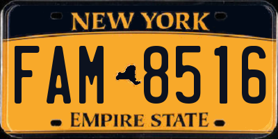 NY license plate FAM8516