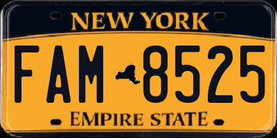 NY license plate FAM8525