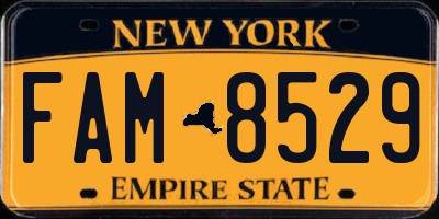 NY license plate FAM8529