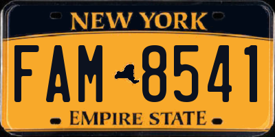 NY license plate FAM8541