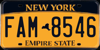 NY license plate FAM8546