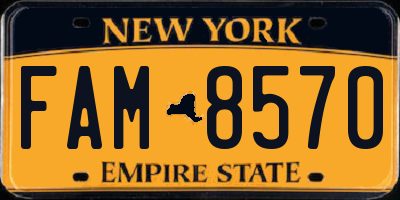 NY license plate FAM8570