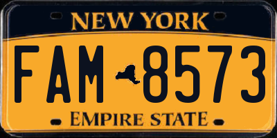 NY license plate FAM8573