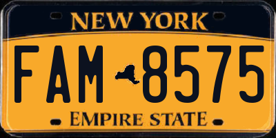 NY license plate FAM8575