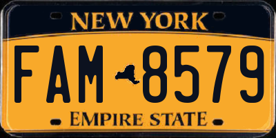 NY license plate FAM8579