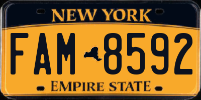 NY license plate FAM8592