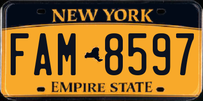 NY license plate FAM8597