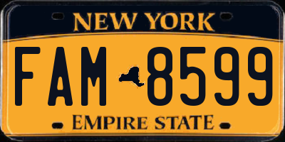NY license plate FAM8599