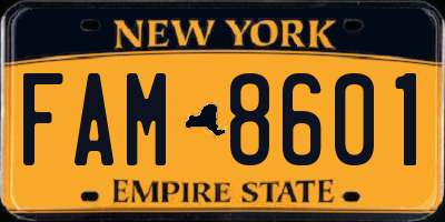 NY license plate FAM8601