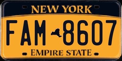 NY license plate FAM8607