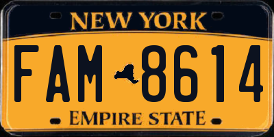 NY license plate FAM8614