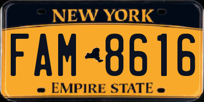 NY license plate FAM8616