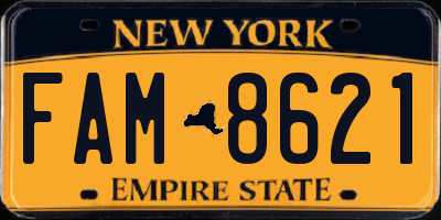 NY license plate FAM8621