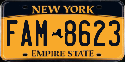 NY license plate FAM8623