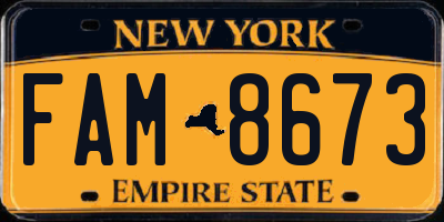 NY license plate FAM8673