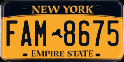 NY license plate FAM8675