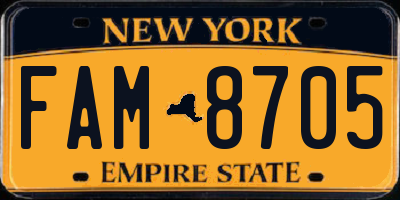 NY license plate FAM8705