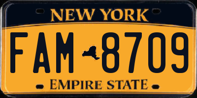 NY license plate FAM8709