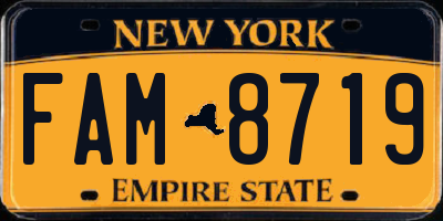NY license plate FAM8719