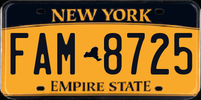 NY license plate FAM8725