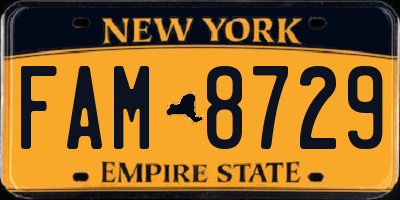 NY license plate FAM8729