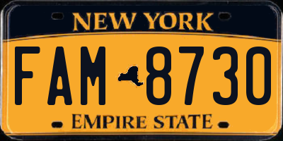 NY license plate FAM8730