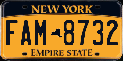 NY license plate FAM8732