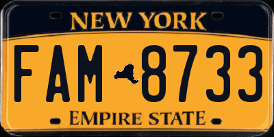 NY license plate FAM8733