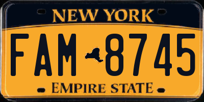 NY license plate FAM8745