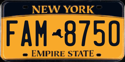 NY license plate FAM8750