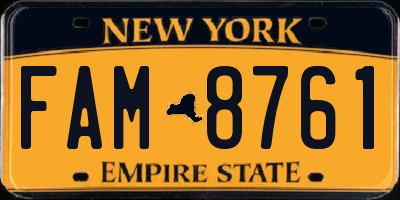 NY license plate FAM8761