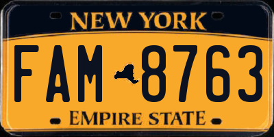 NY license plate FAM8763