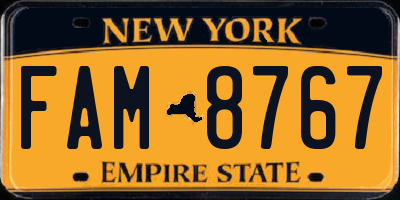 NY license plate FAM8767