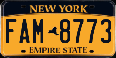 NY license plate FAM8773