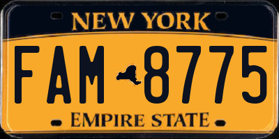 NY license plate FAM8775
